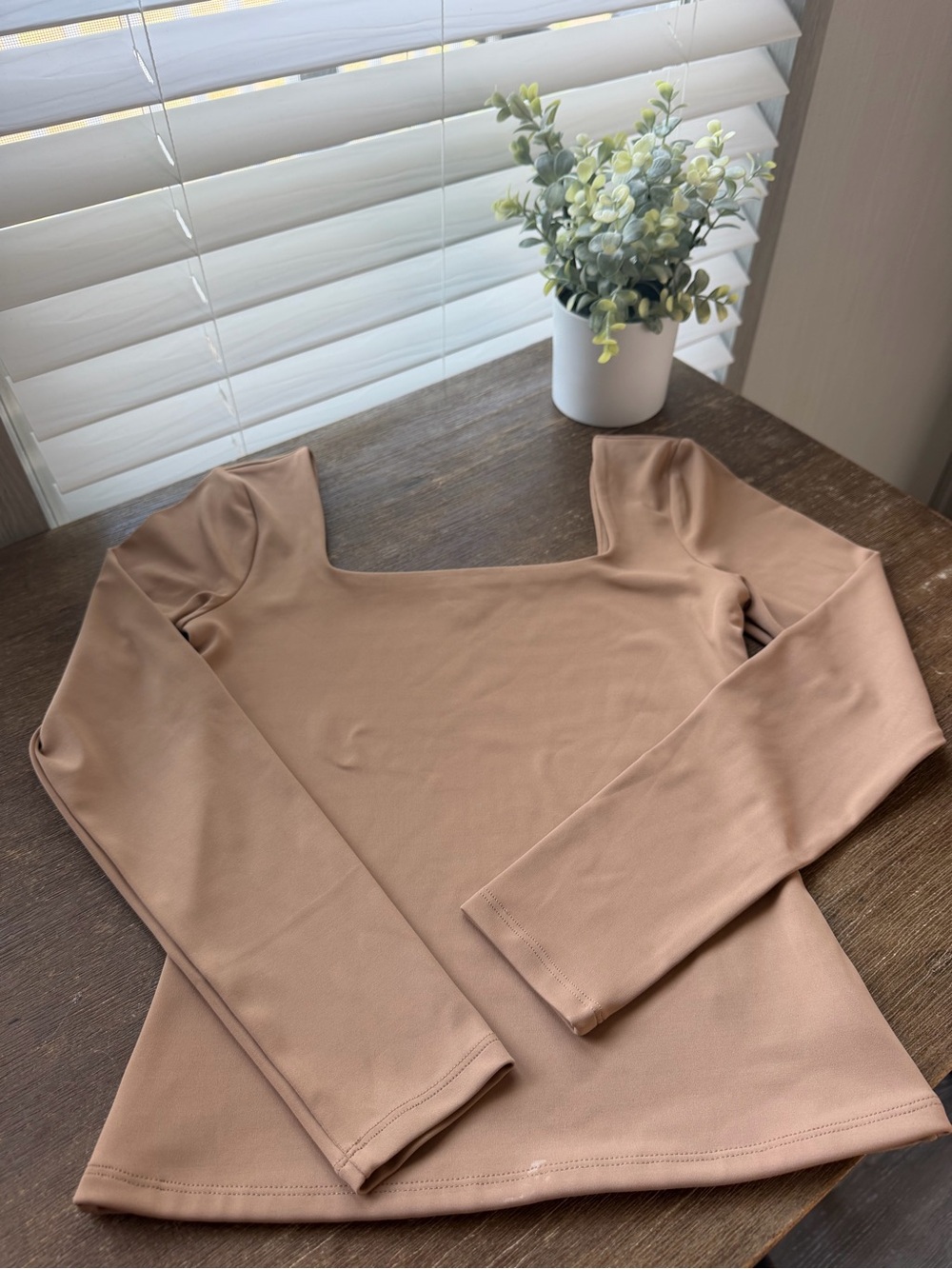 Express Long Sleeve Square Neck Top in Taupe